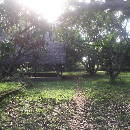 Art Forest Auroville Exterior photo