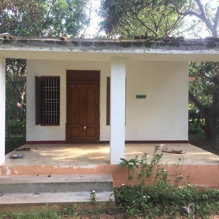 Art Forest Auroville Exterior photo
