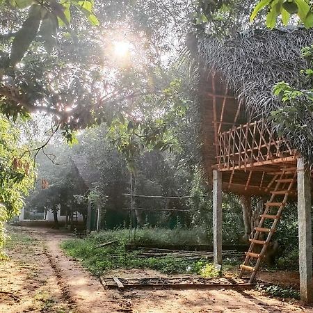 Art Forest Auroville Exterior photo