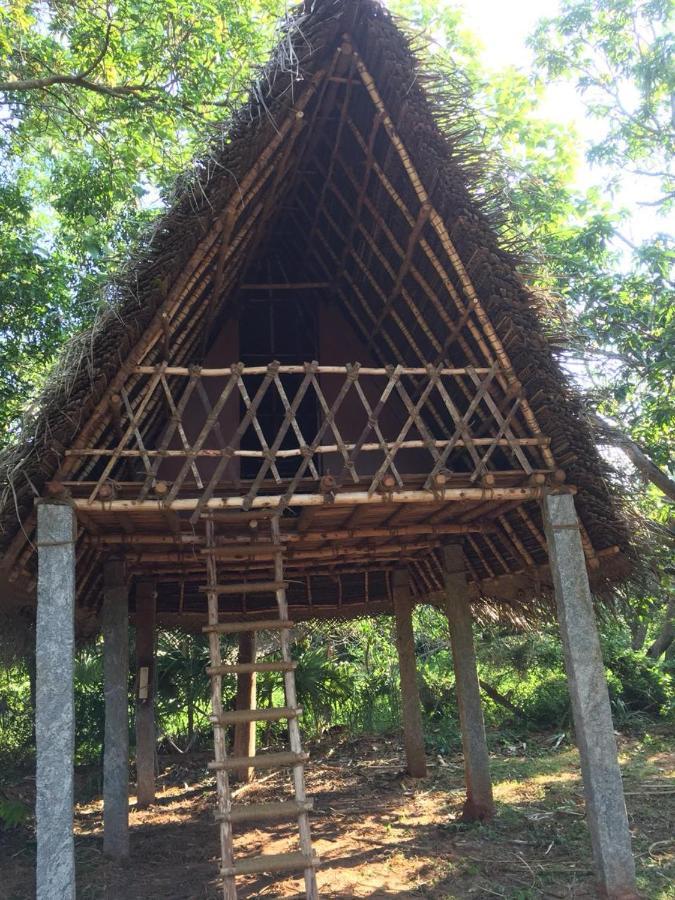 Art Forest Auroville Exterior photo
