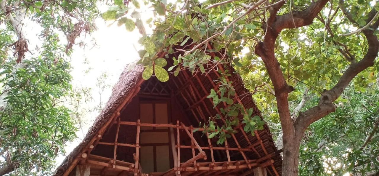 Art Forest Auroville Exterior photo