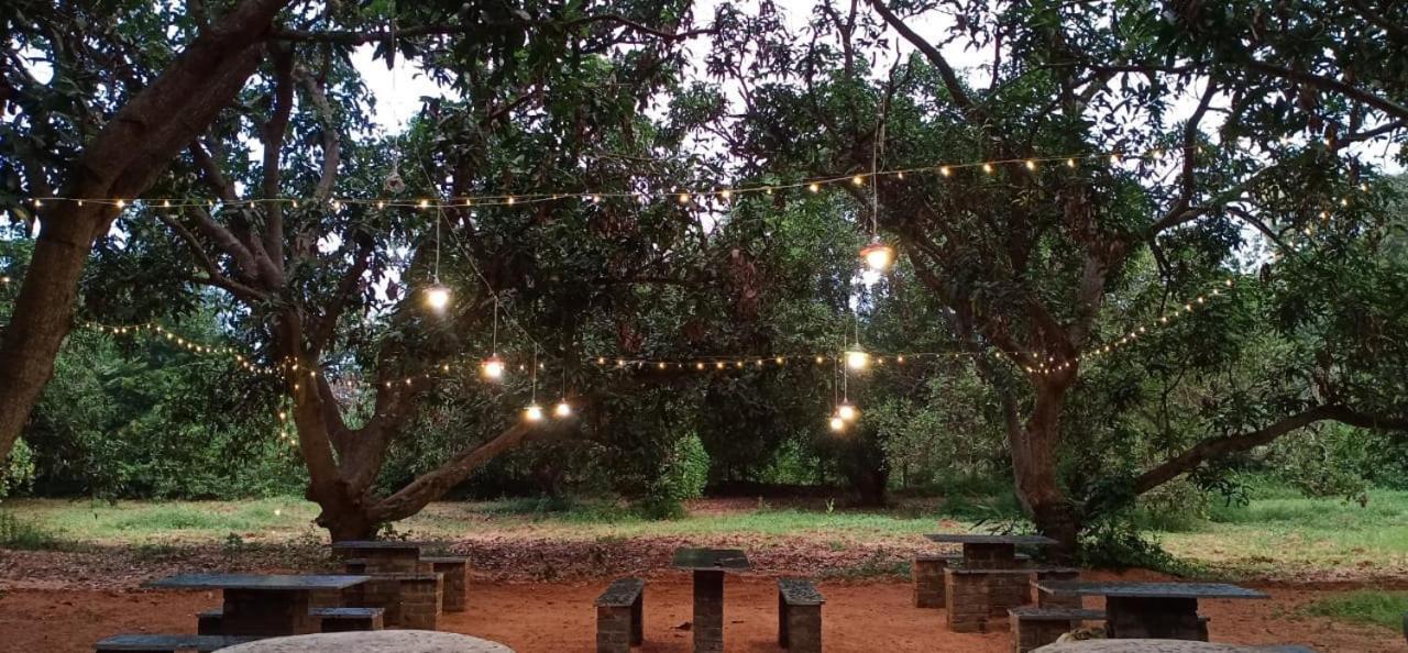 Art Forest Auroville Exterior photo
