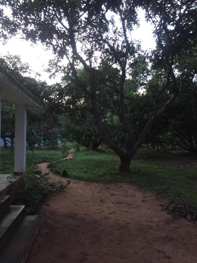 Art Forest Auroville Exterior photo
