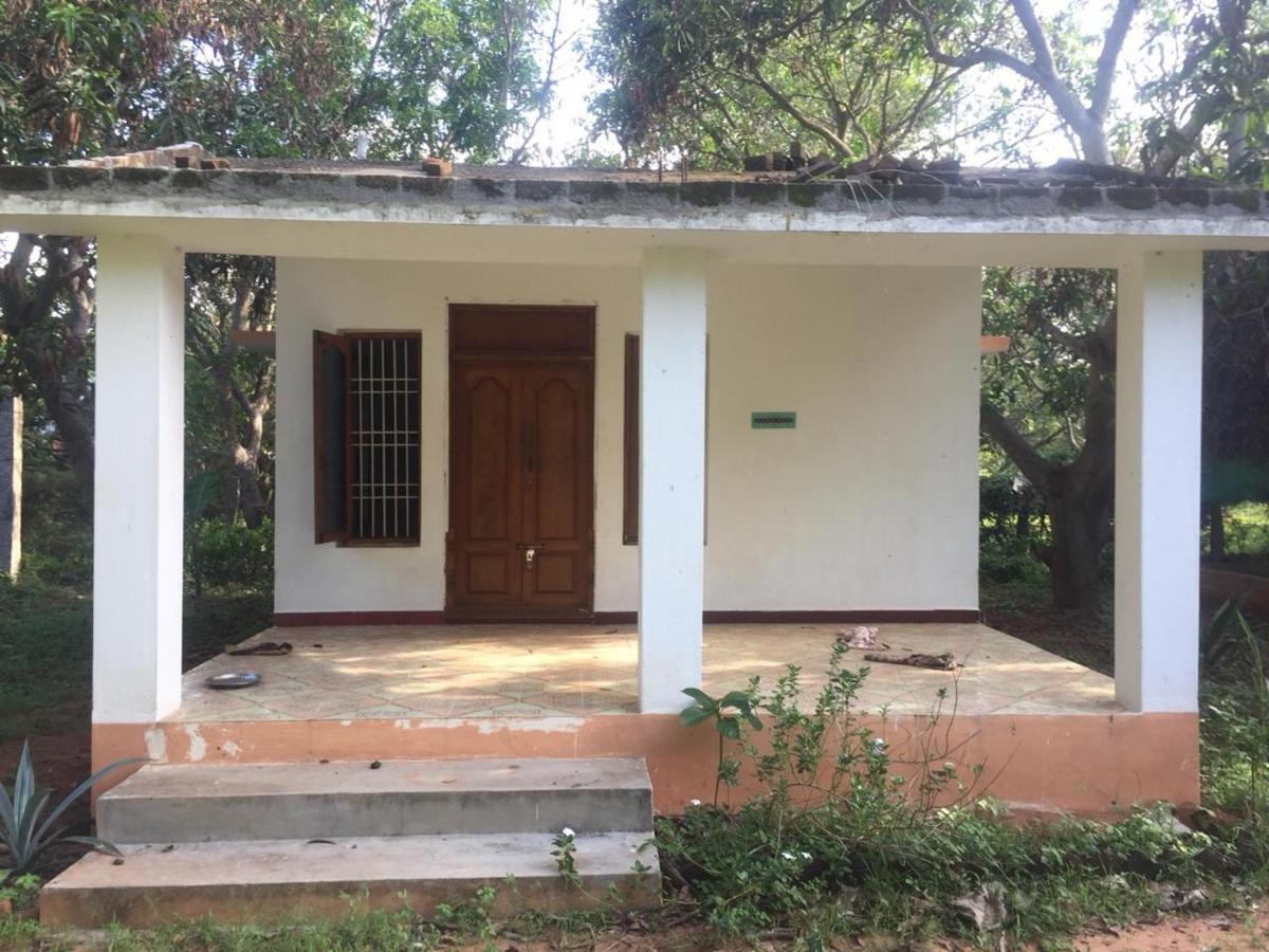 Art Forest Auroville Exterior photo