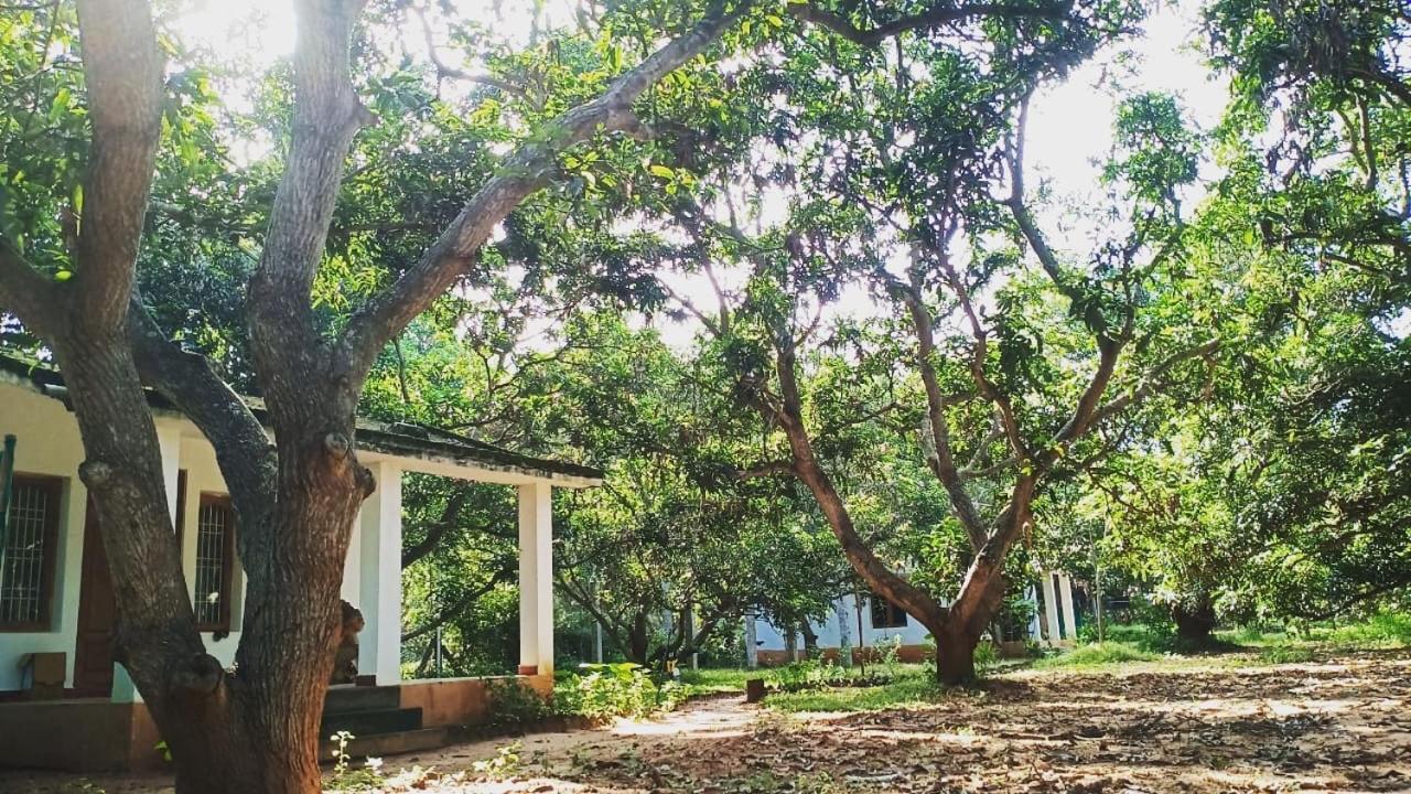 Art Forest Auroville Exterior photo