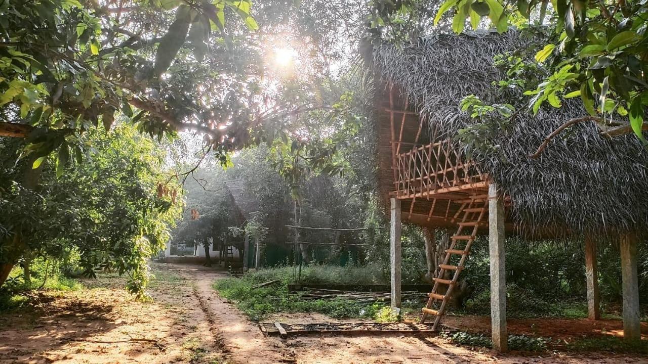 Art Forest Auroville Exterior photo
