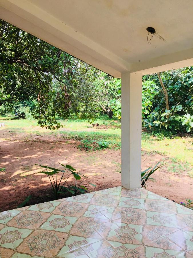 Art Forest Auroville Exterior photo